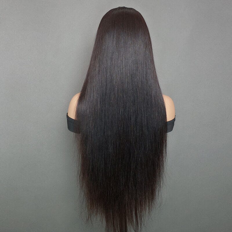 Aligrace High Quality Natural Color Straight 360 Lace Front Wig