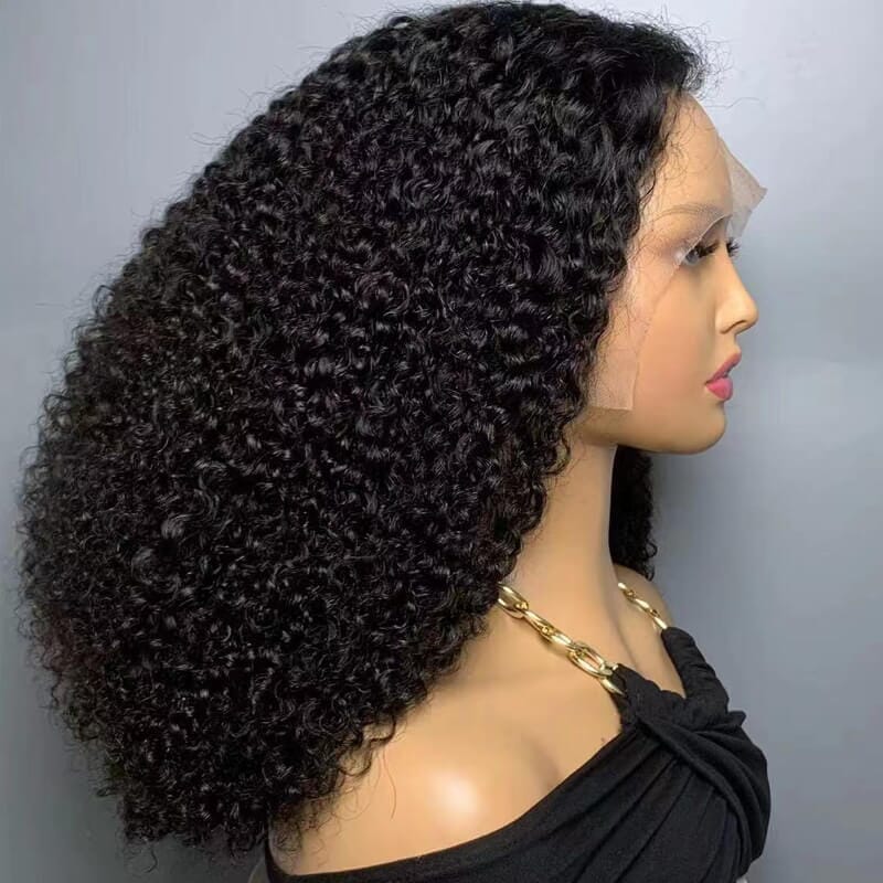 Aligrace 13X4 Lace Super Double Drawn Curly Wigs