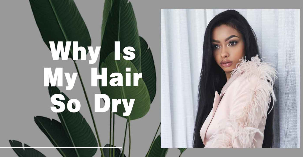 Why Is My Hair So Dry? AliGrace