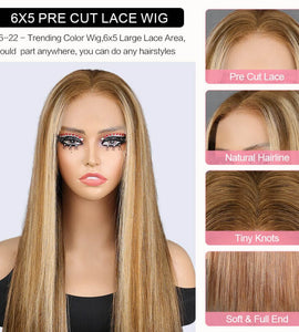 Aligrace Pre Bleached Tiny Knots 6x5 Pre-Cut Lace Straight P6/22 Highlight Color Wear & Go Glueless Wig